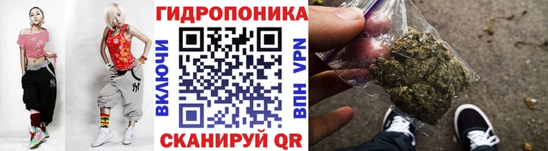 Конопля индика  купить наркотик  Белово 